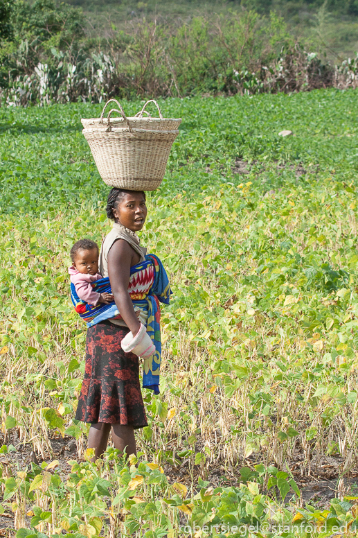 woman with baby i the field